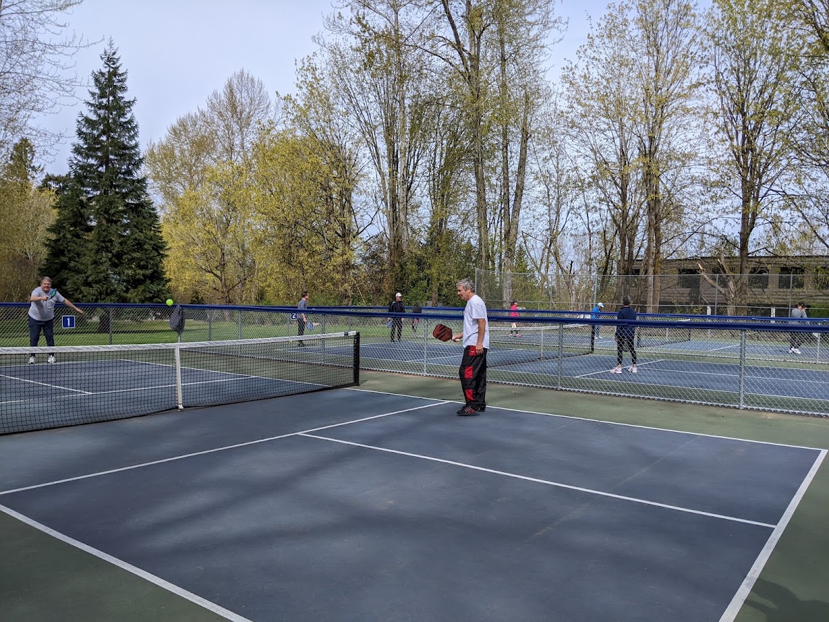 Everest Park Pickleball Courts