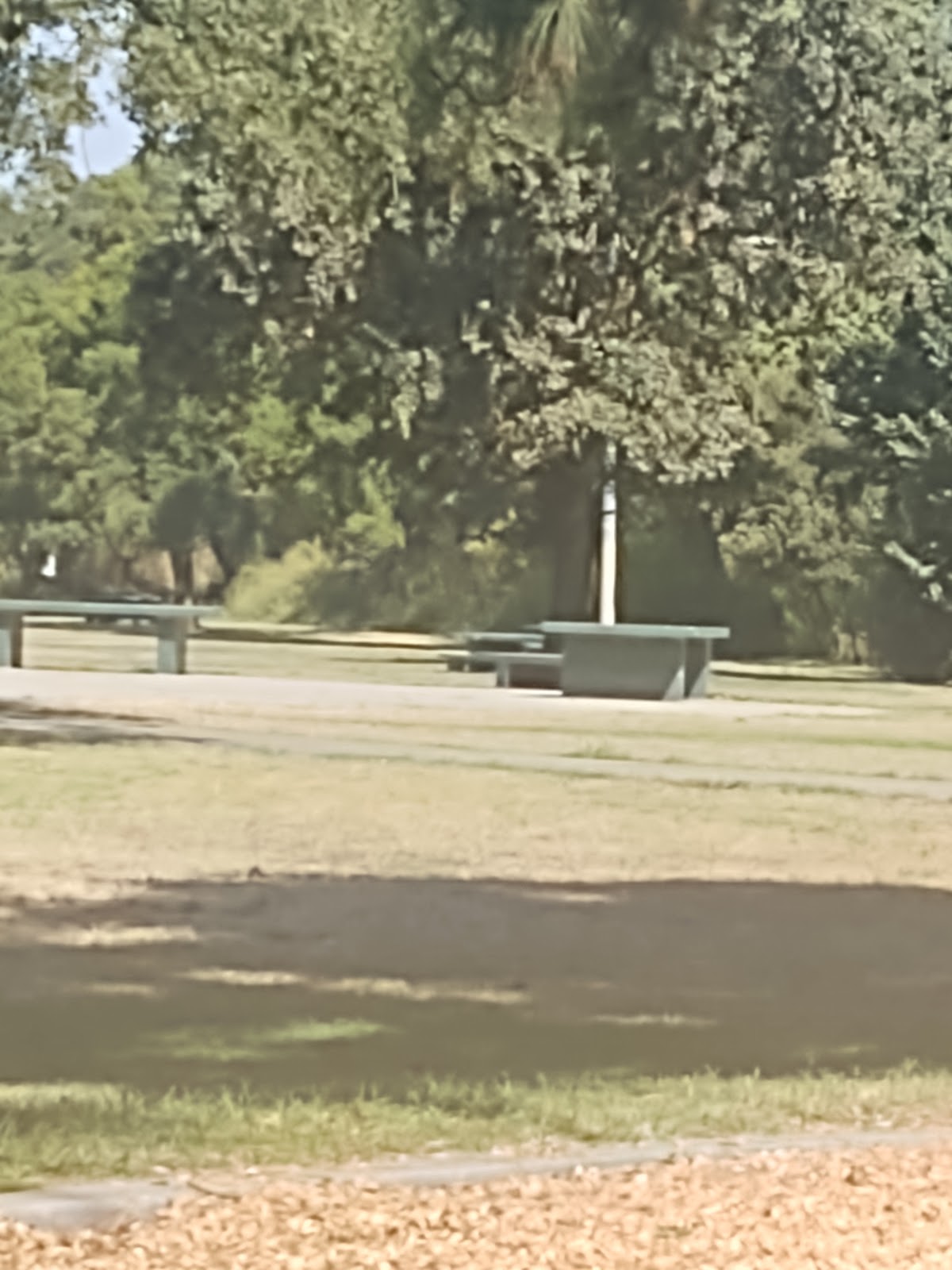 Stockton Pickleball at Swenson Park