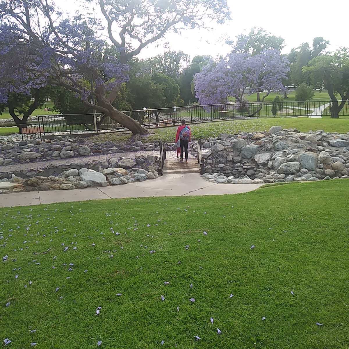 Scherer Park