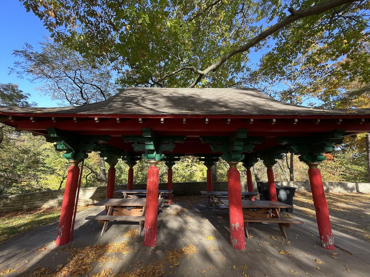 Warren Packard Park (New Courts)