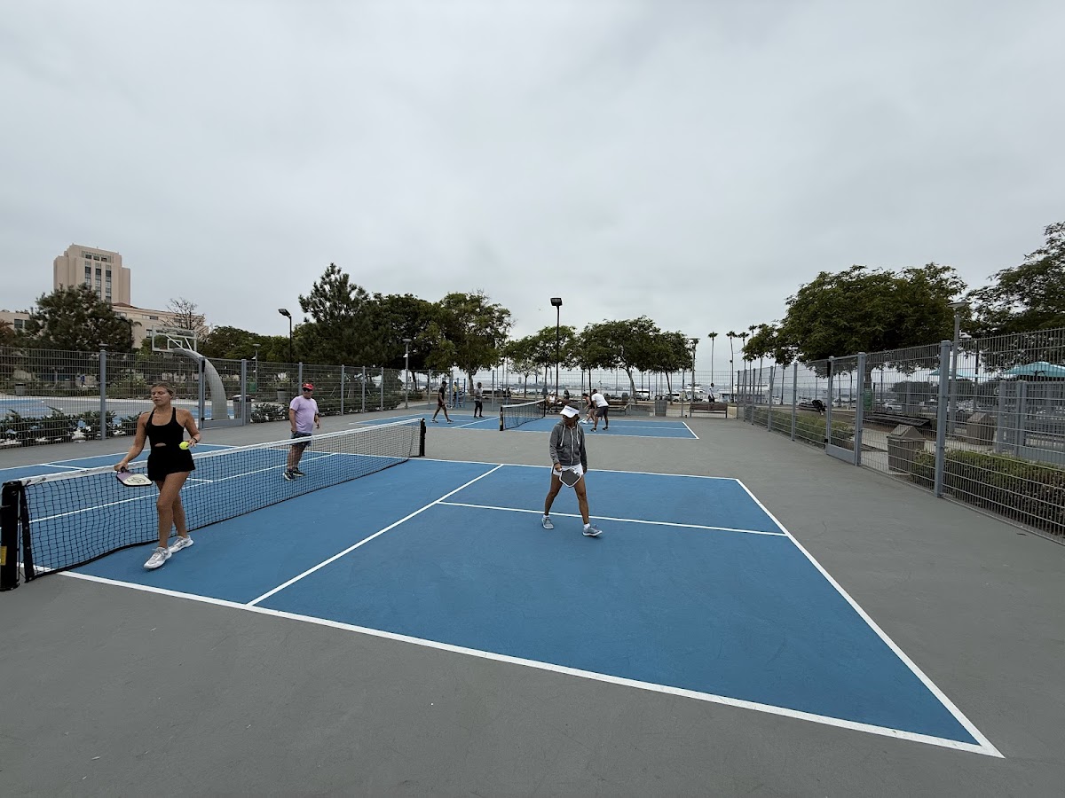 Little Italy Pickleball Court