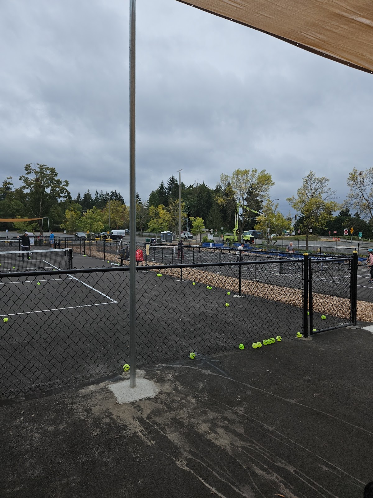 Houghton Park Pickleball Courts