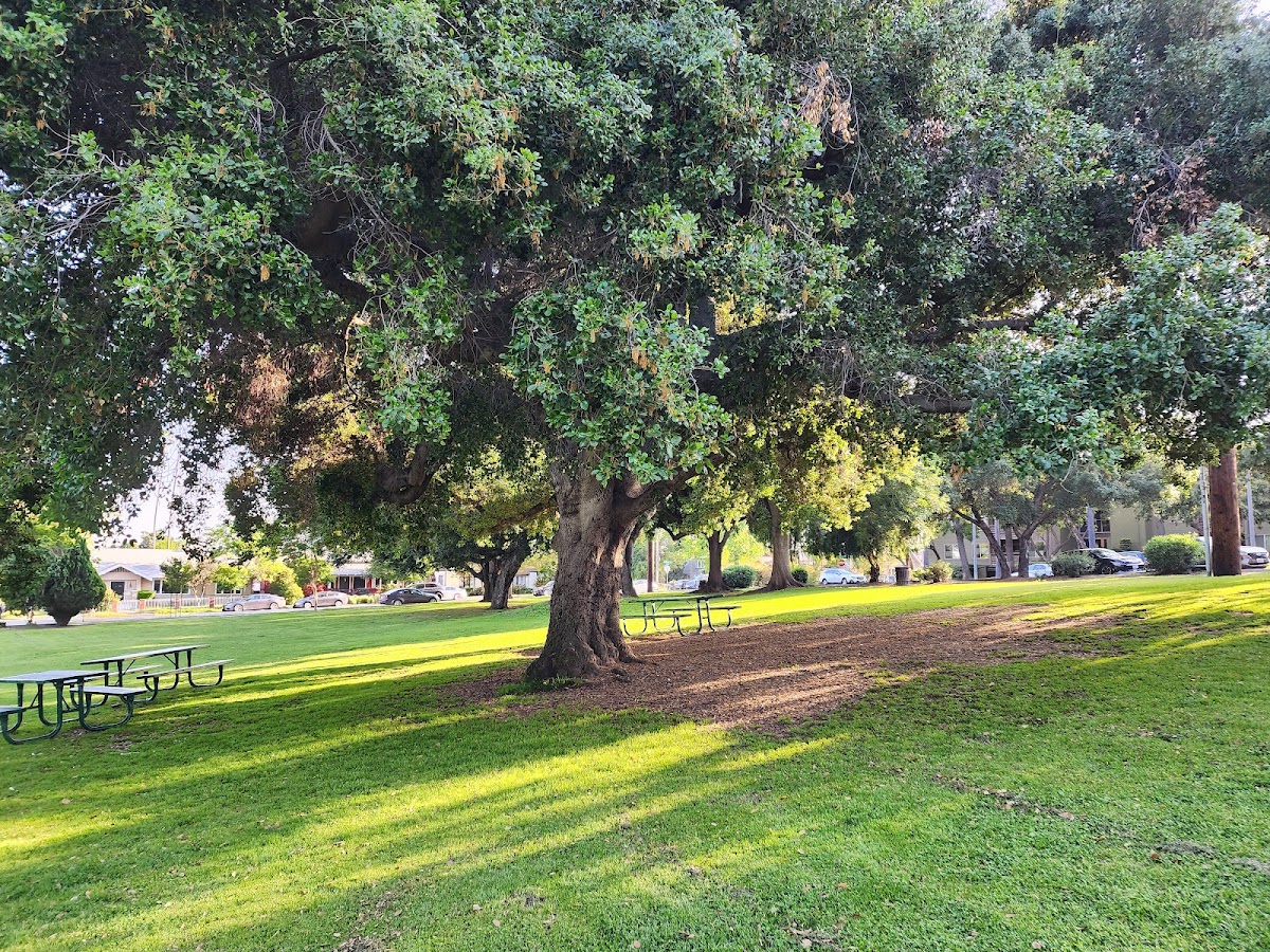 Garfield Park