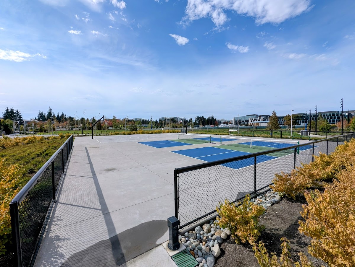 Microsoft Basketball & Pickleball Courts