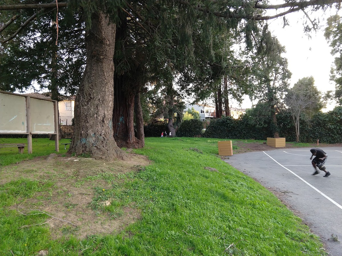 Burkhalter Park