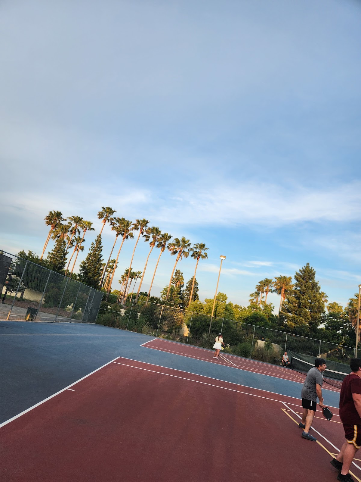 Sycamore Park
