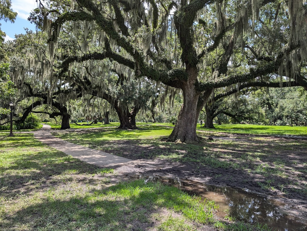 New Orleans City Park