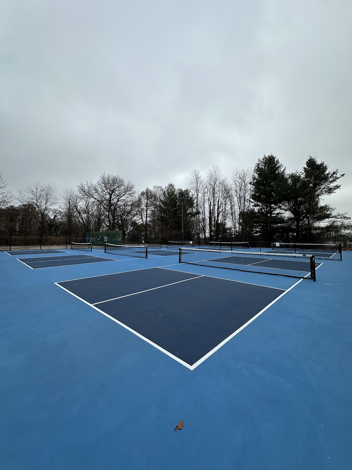 Pickleball Courts