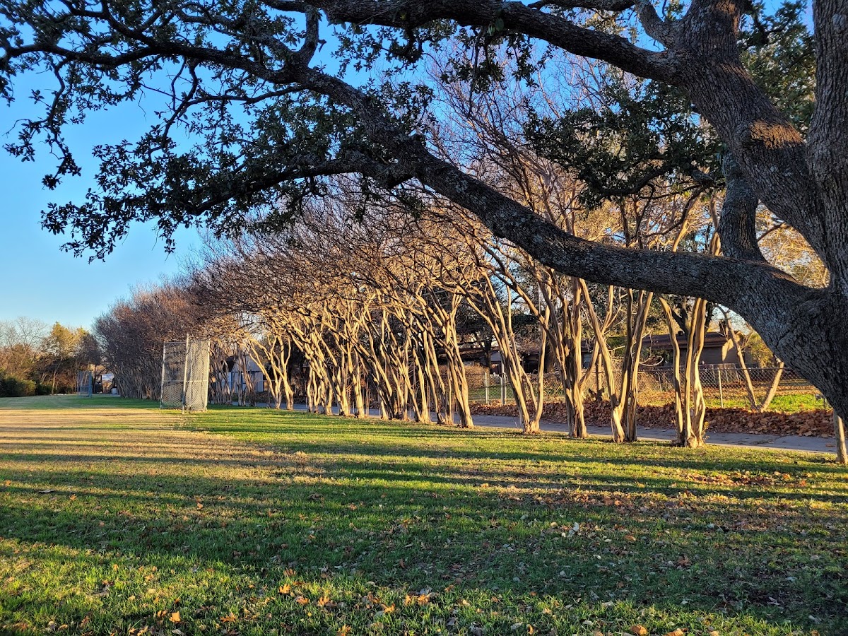 Woodland Park