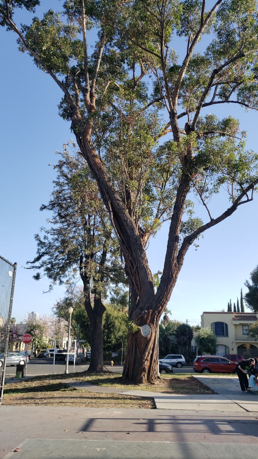 Drake Park
