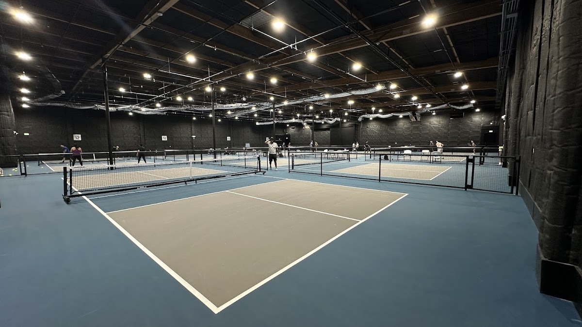 Wolf + Bear Indoor Pickleball & Futsal