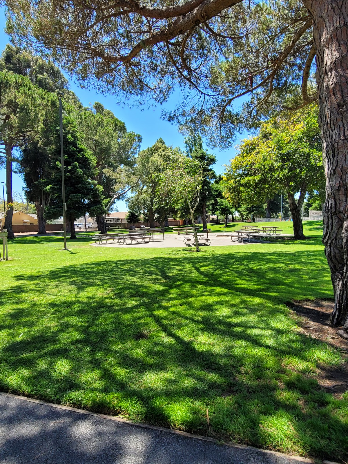 Washington Manor Park