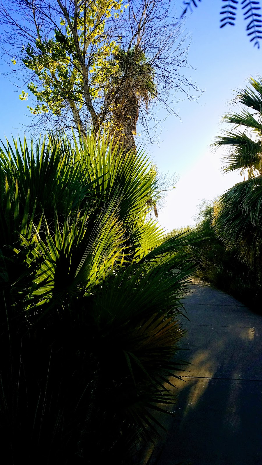 Indian Bend Park