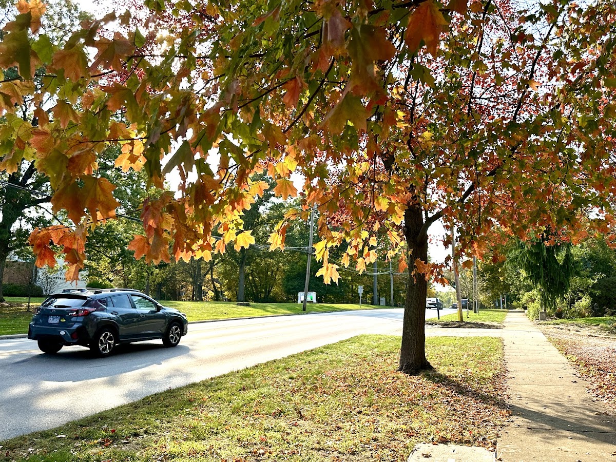 Silver Lake Village Hall Park