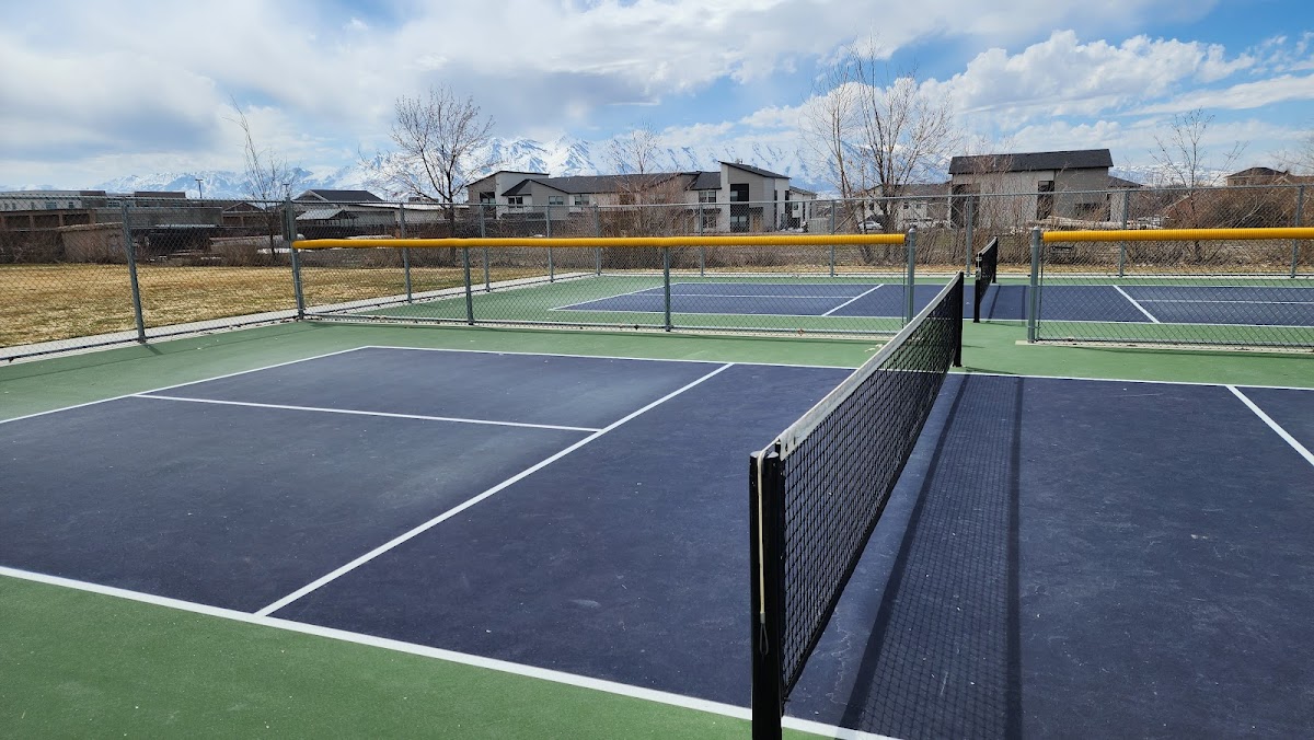 Alma Leonhardt Park Pickleball Courts