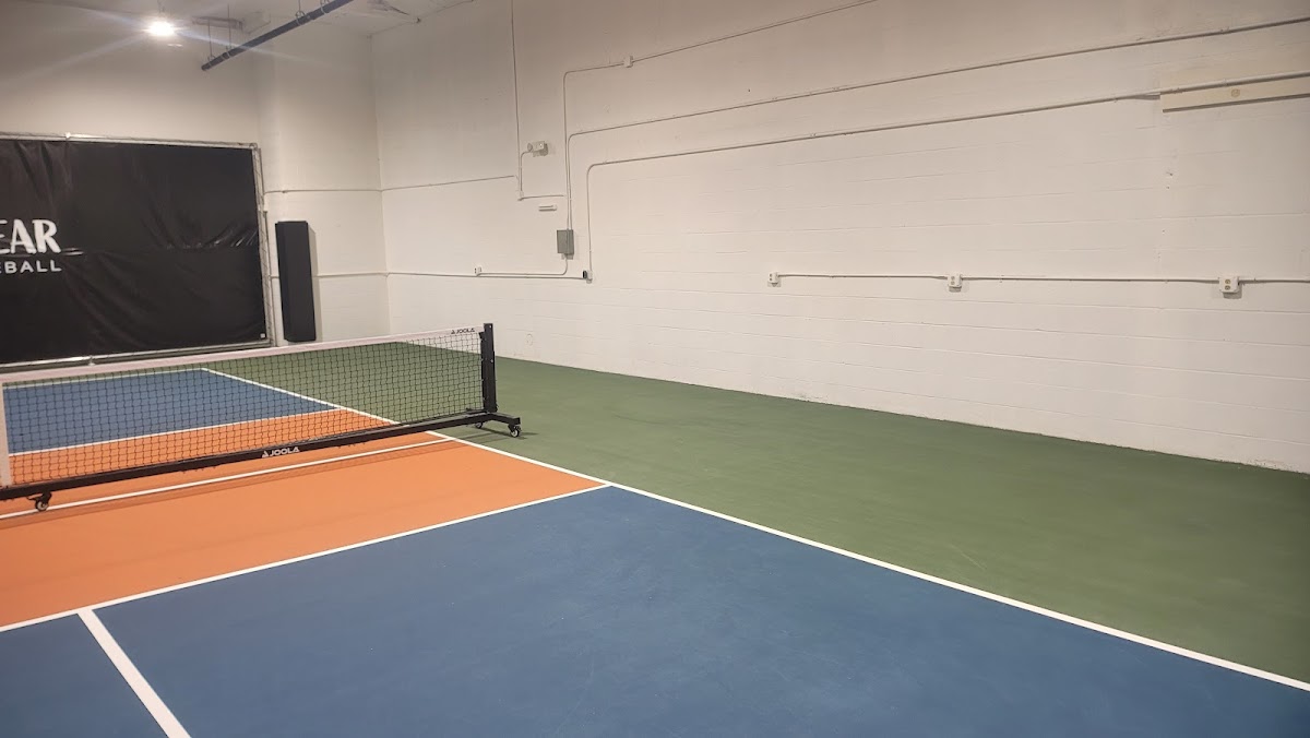 Wolf and Bear Indoor Pickleball