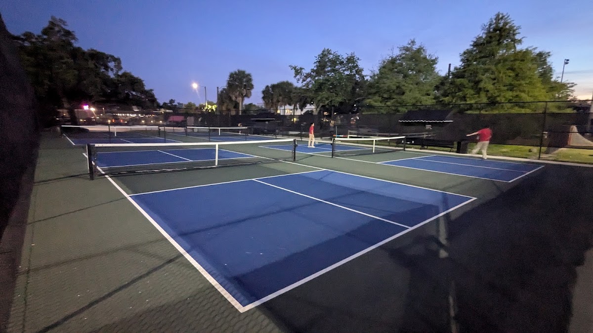 MLK Jr. Park pickleball courts