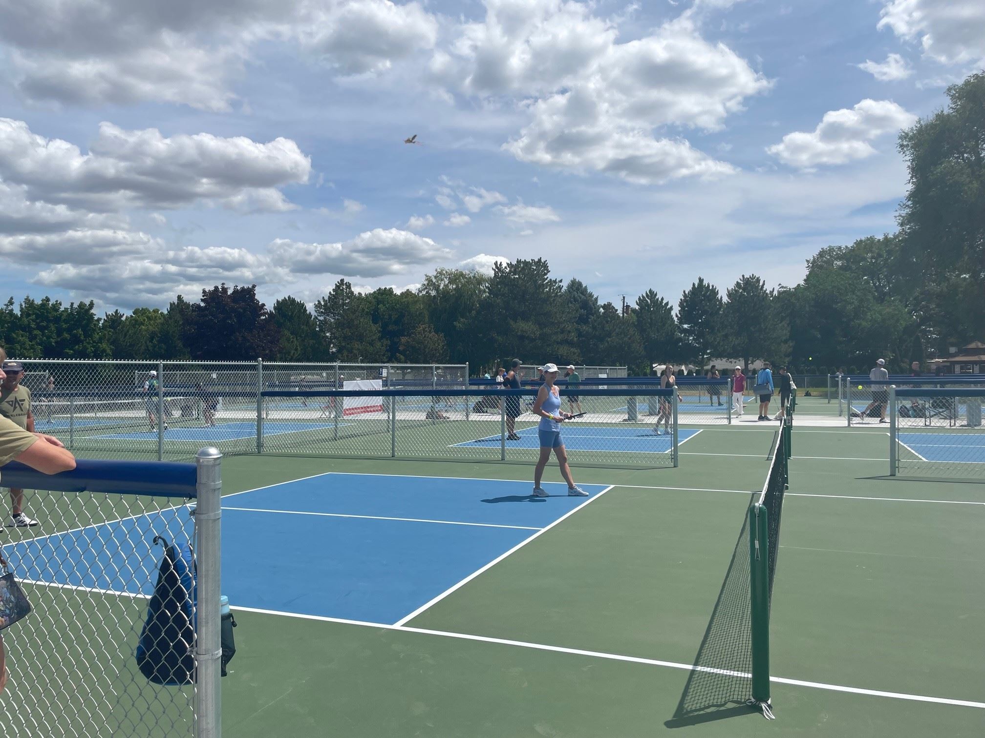 Lawrence Scott Park Pickleball Complex